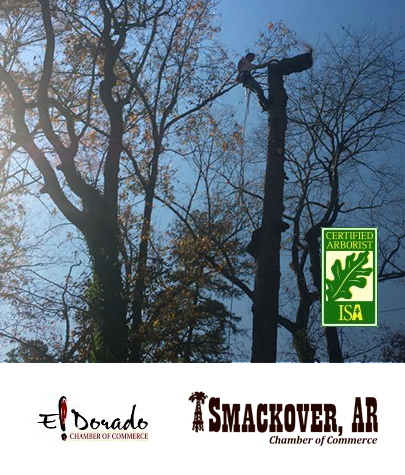 Certified Arborist and Member of the El Dorado, AR and Smackover, AR Chamber of Commerce